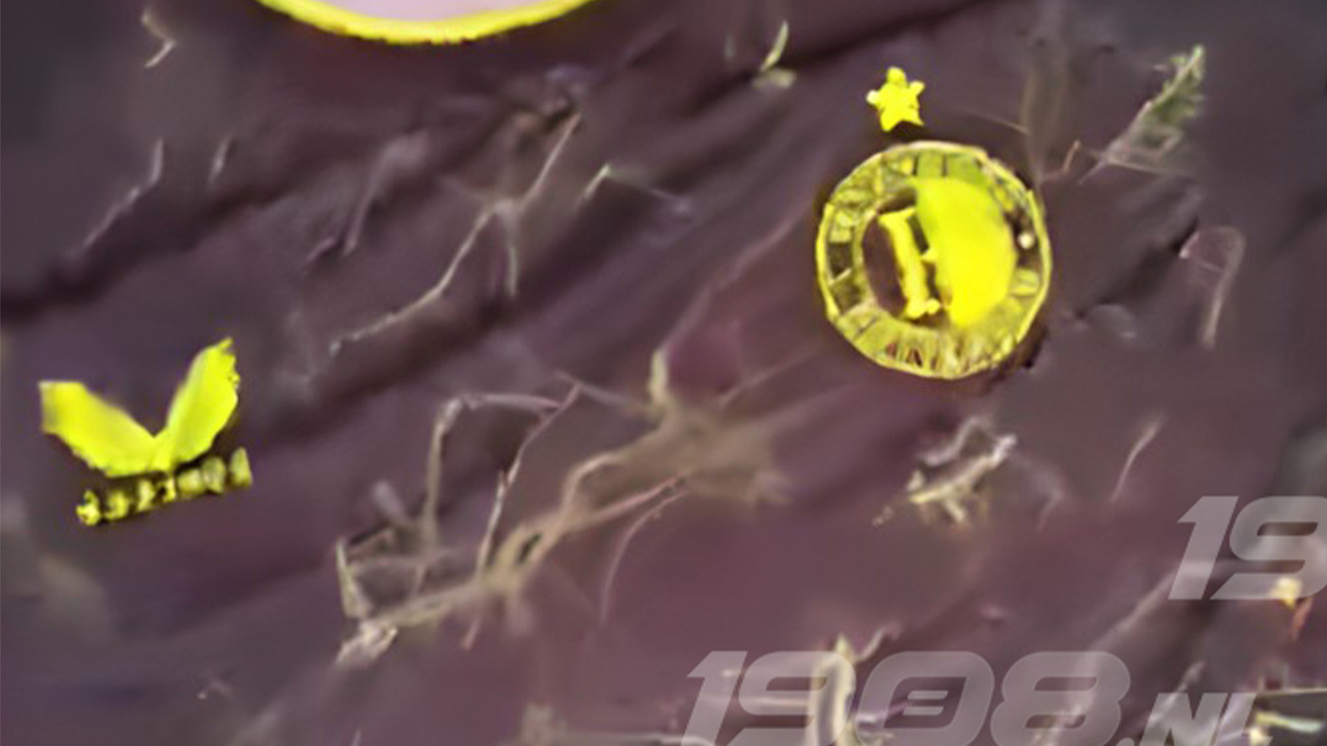 UITGELEKT • Het Europese Feyenoord-shirt van Castore