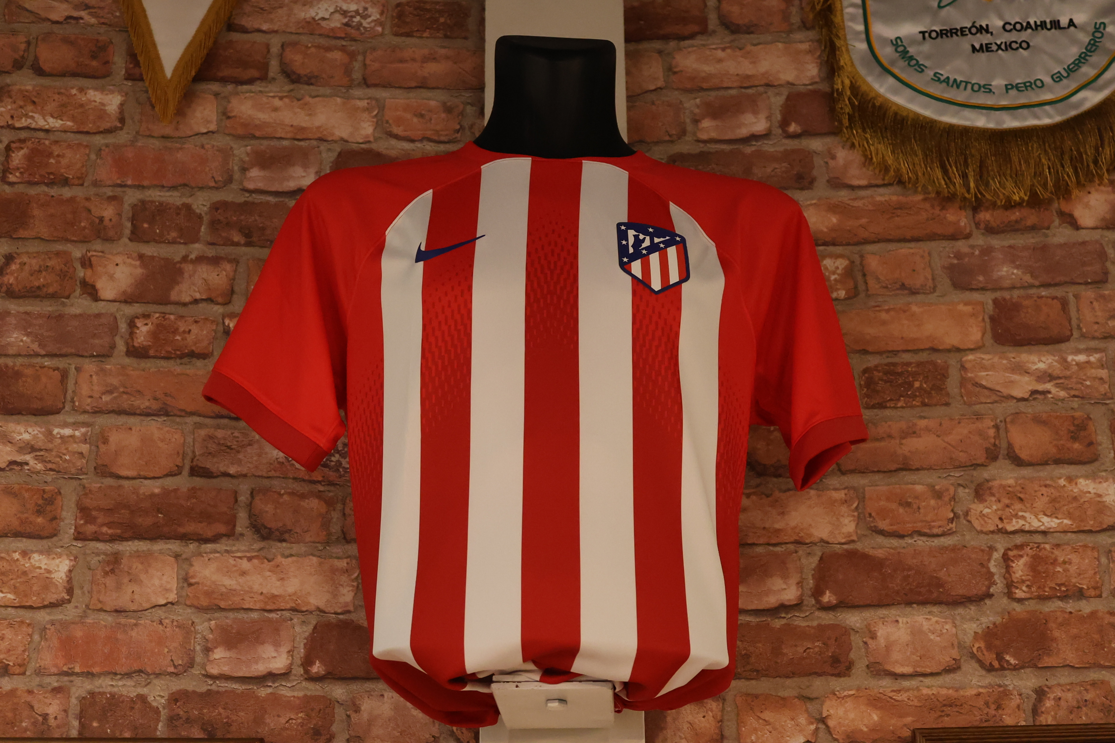 celtic-park-stadion-tour-jim-breeman-sports-photography-5