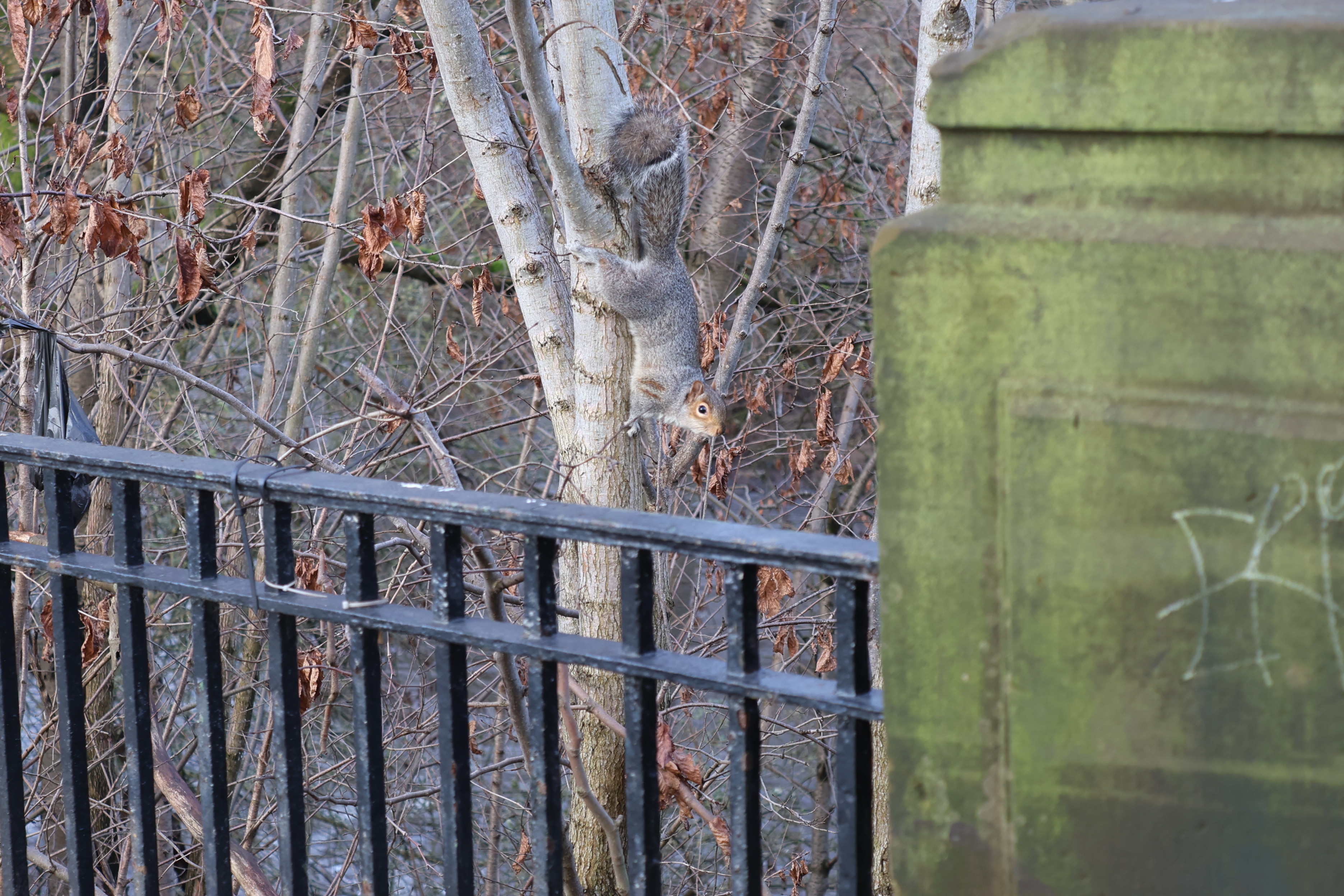 stadion-tour-rangers-fc-jim-breeman-sports-photography-33