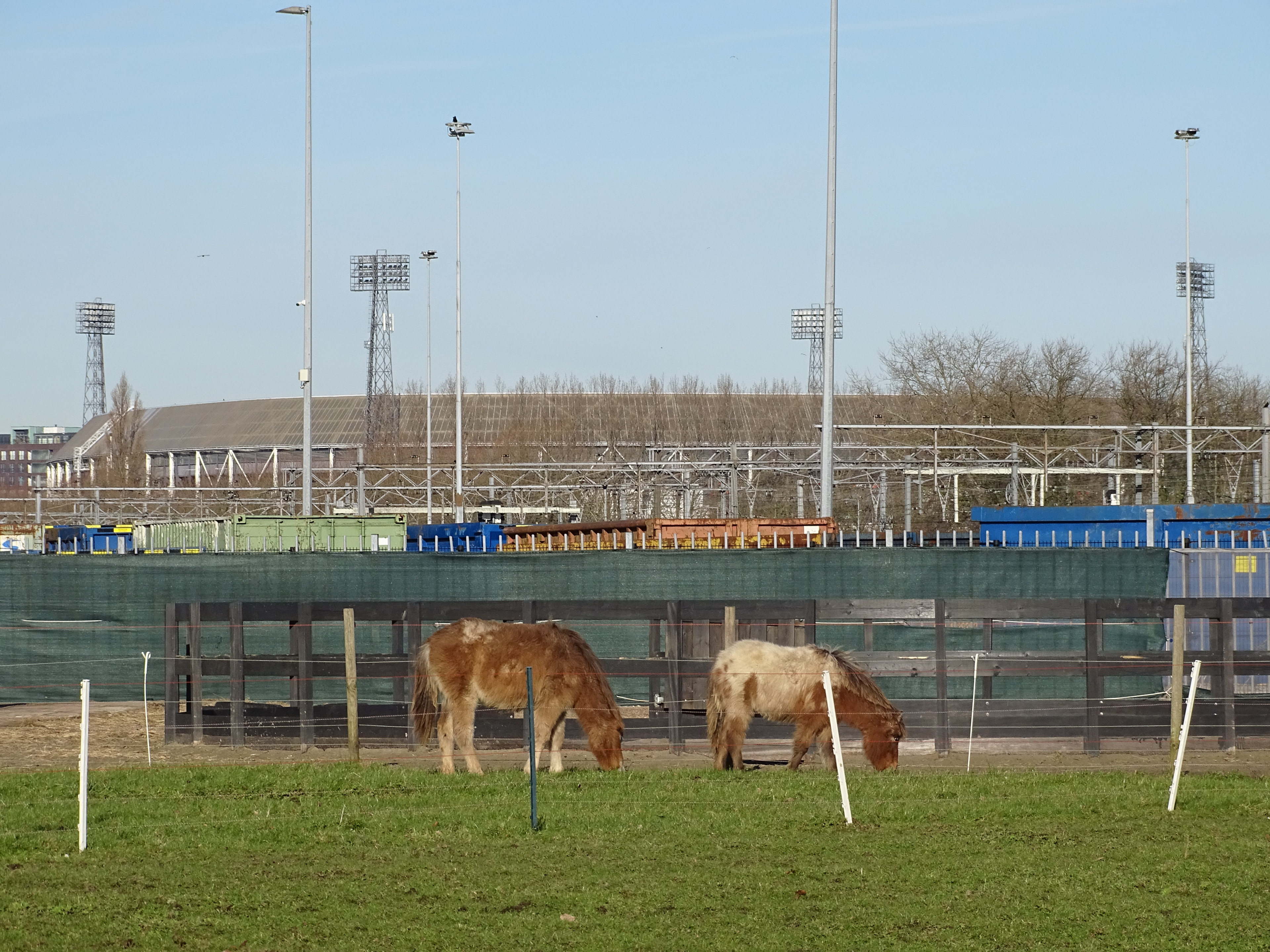 feyenoord-fc-twente-0-0-jim-breeman-sports-photography-1
