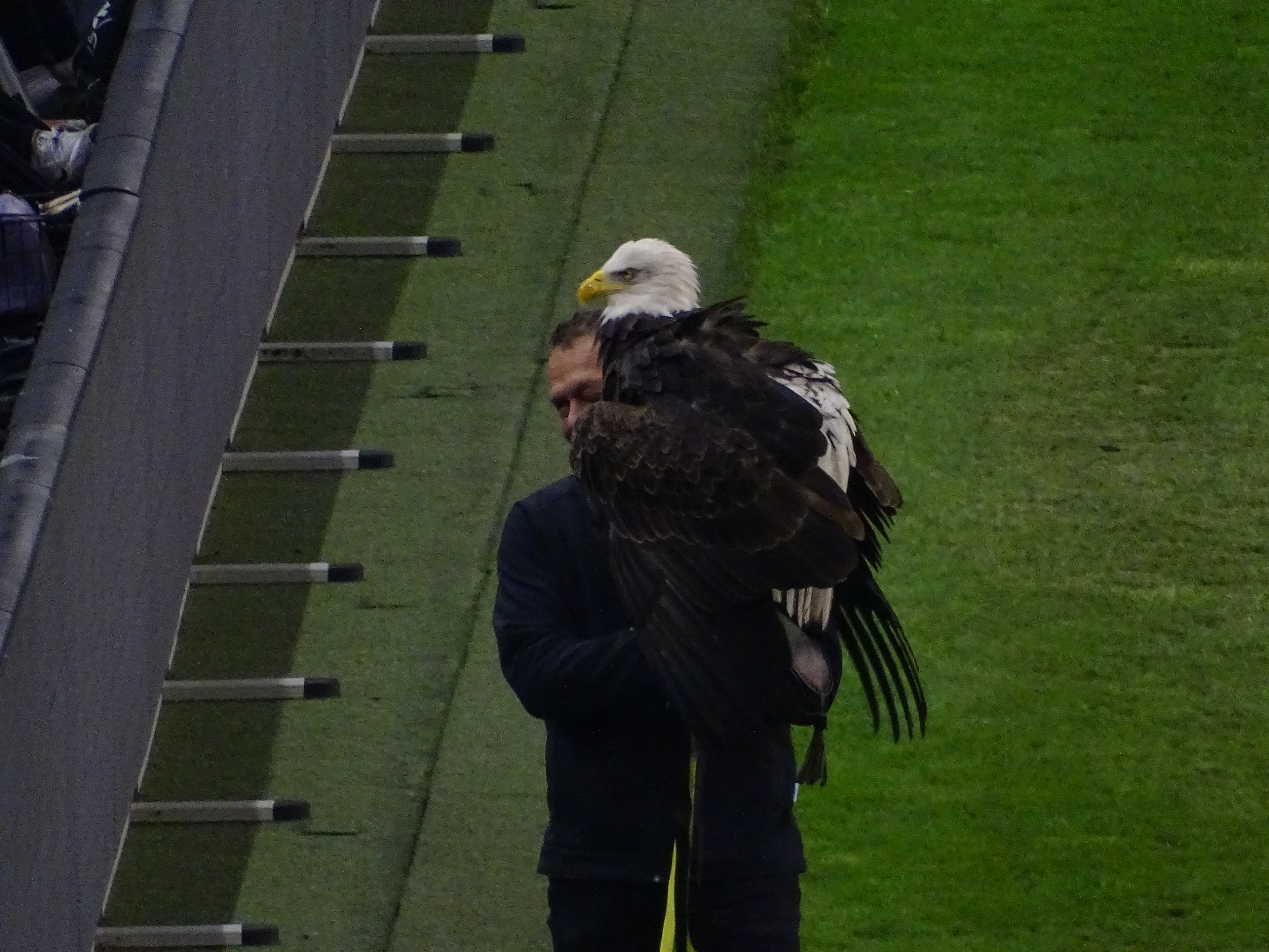 vitesse-feyenoord-1-2-jim-breeman-sports-photography-13