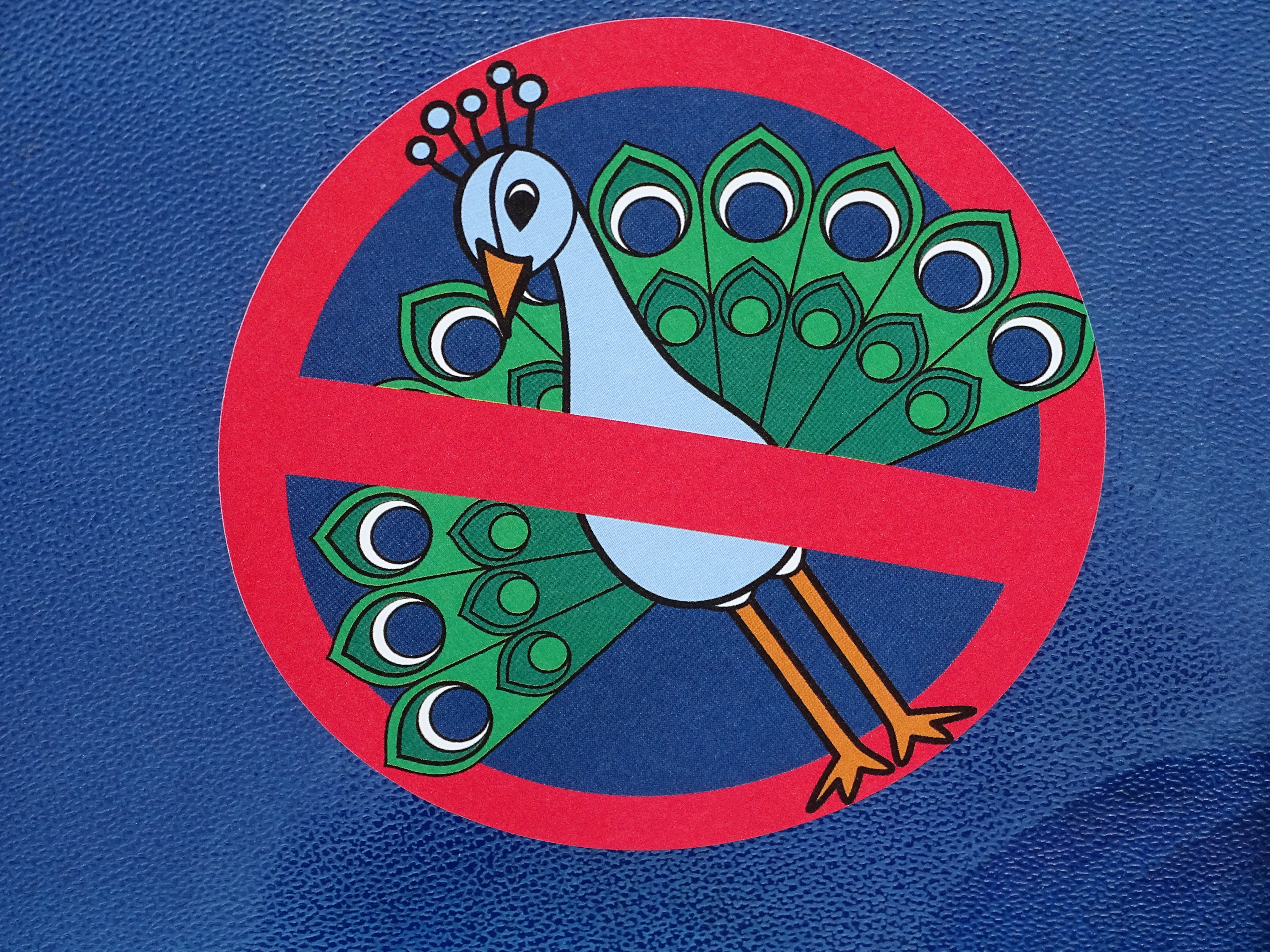 feyenoord-ajax-6-0-jim-breeman-sports-photography-8