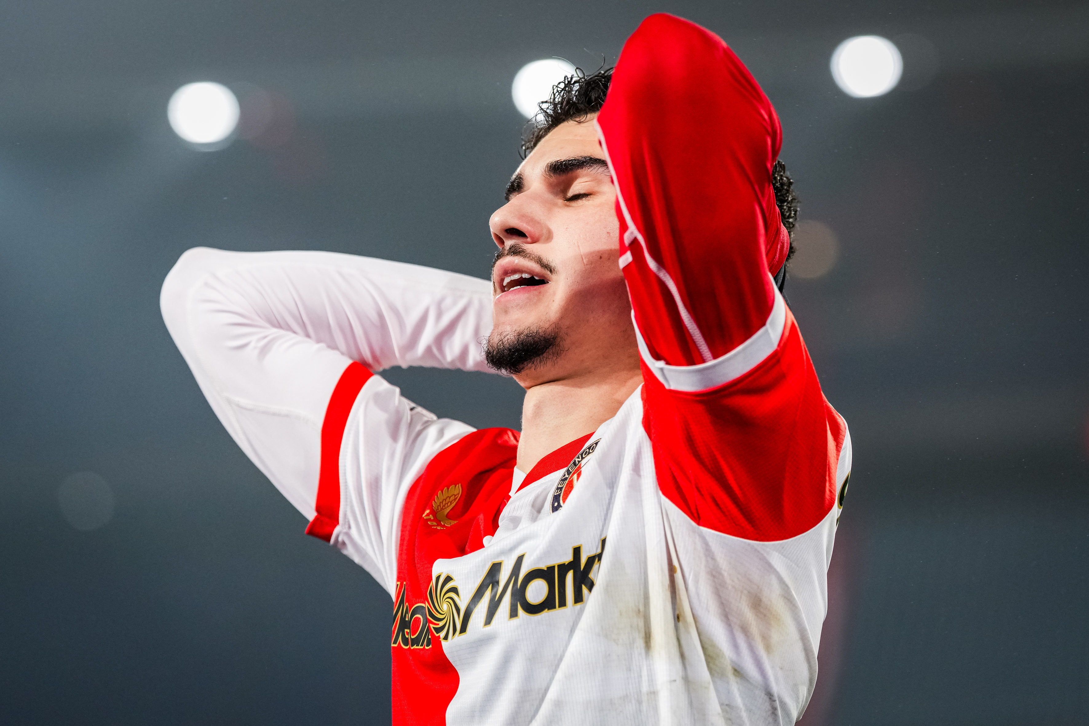 copyright-proshots-32220345