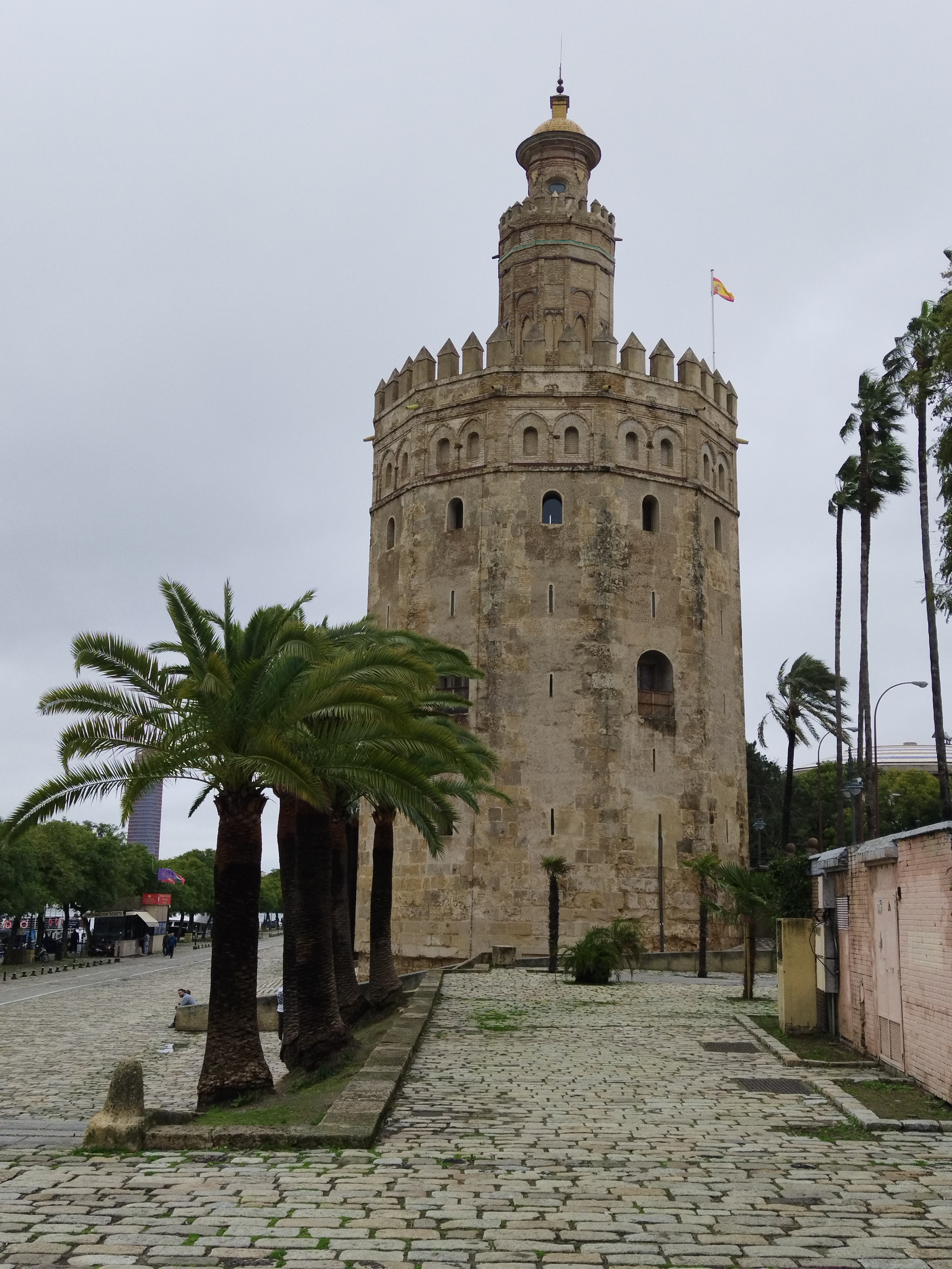 img-20260129-115634-1