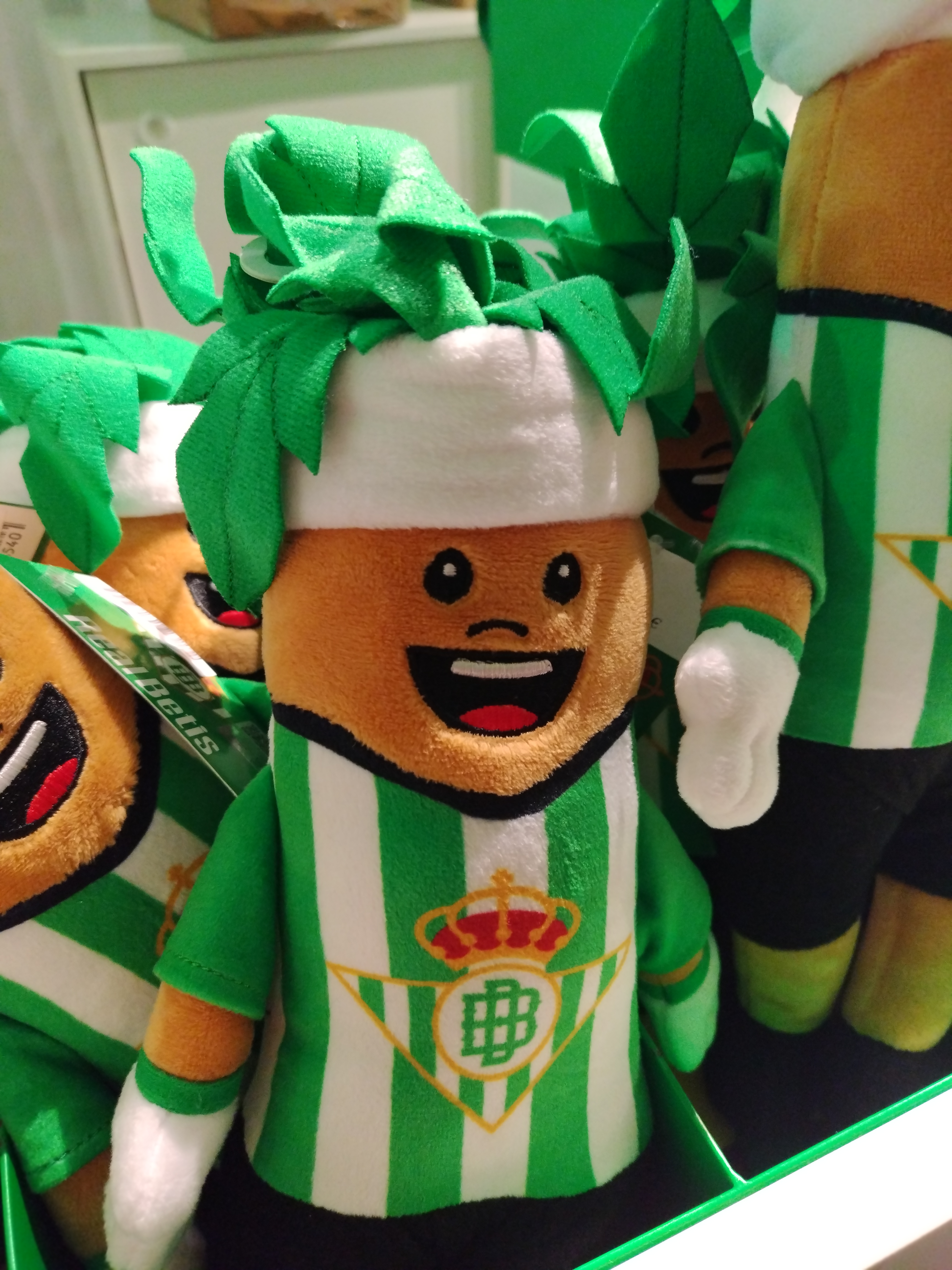 img-20260129-182554-1