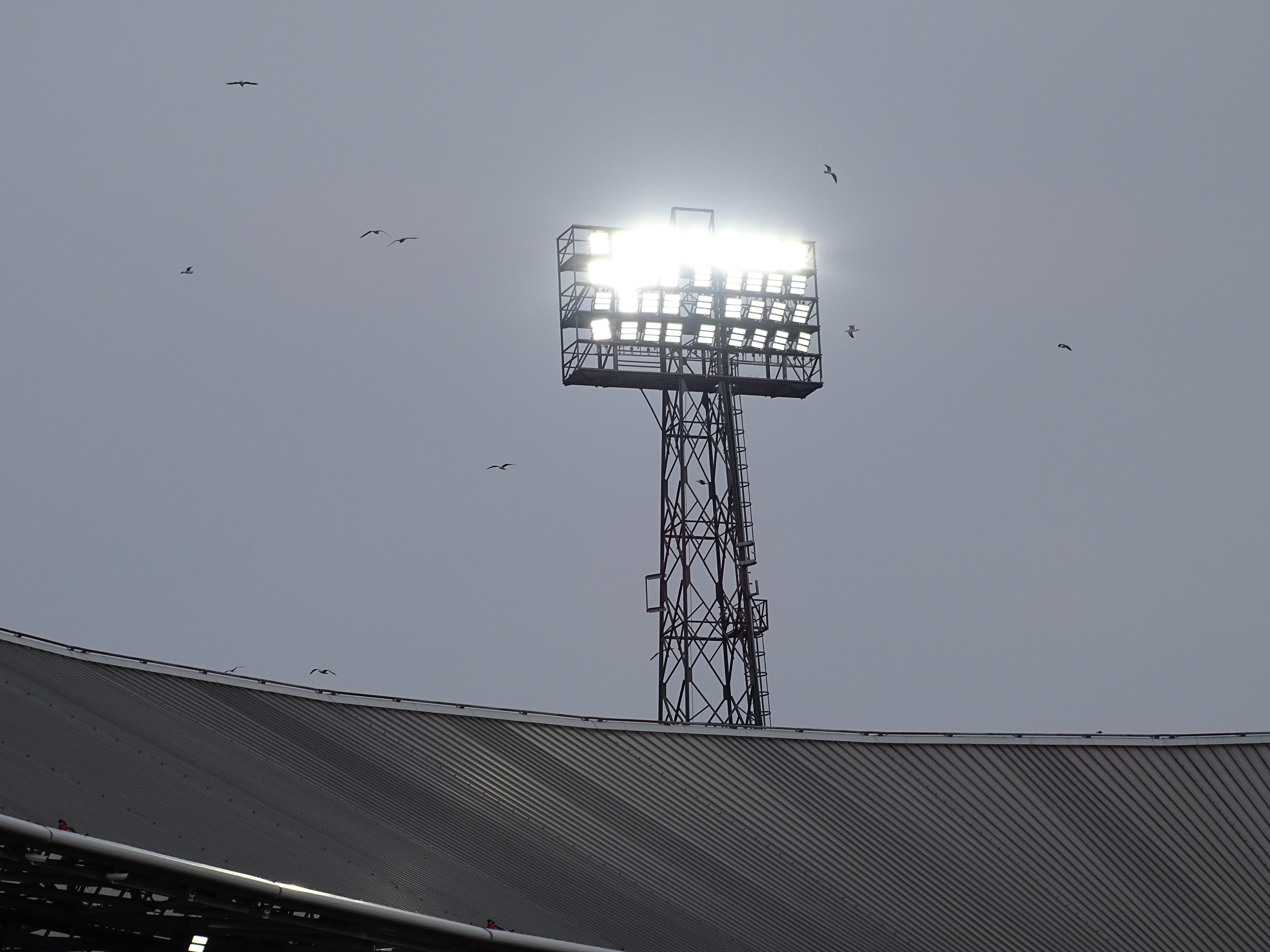 feyenoord-az-alkmaar-1-1-jim-breeman-sports-photography-48