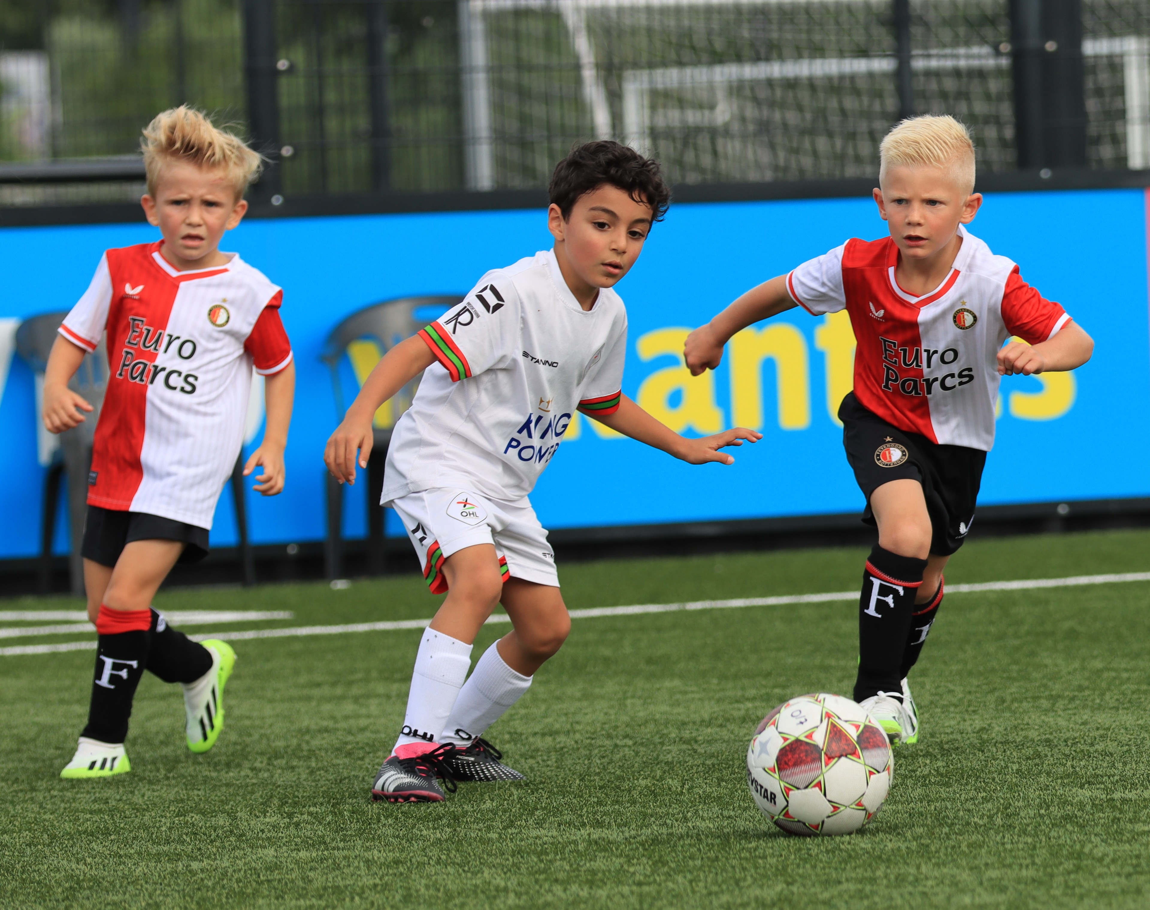 Jeugdteams winnen van OH Leuven in oefenduels (36-5)