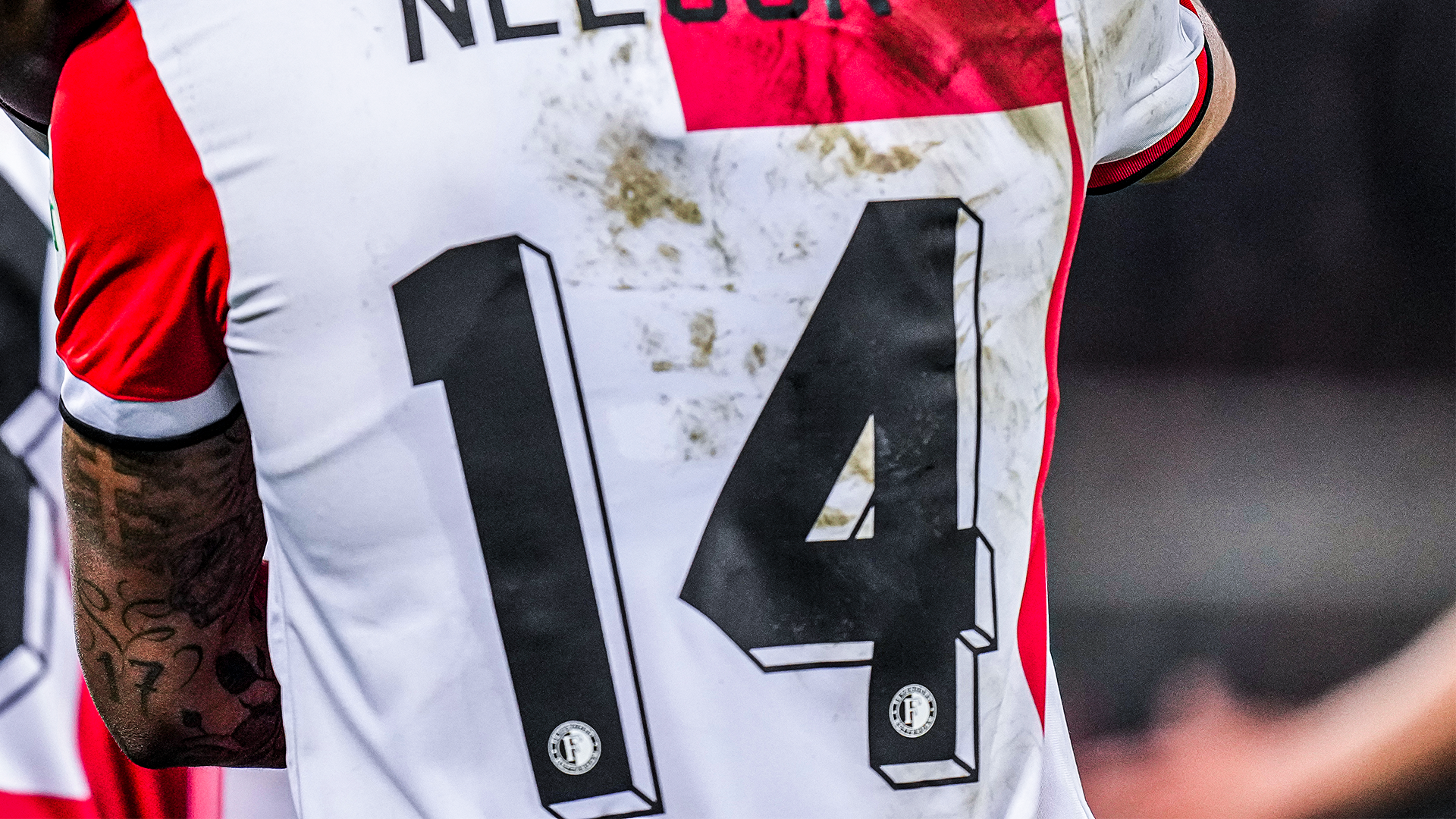 nelson-rugnummer